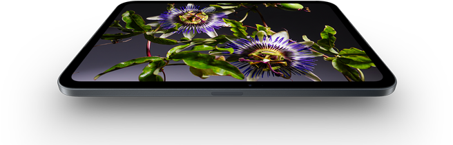 جهاز iPad&nbsp;mini، شاشة OLED مقاس 8.5&nbsp;إنش، ألوان ساطعة وأسود غني، يعرض شخصاً يرتدي قبعة وسترة