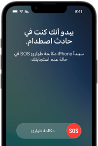 ميزة الرسائل عبر&nbsp;القمر&nbsp;الصناعي قيد الاستخدام