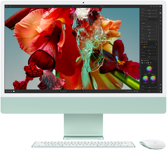 شاشة iMac تعرض زهرة مفعمة بالألوان في تطبيق Adobe&nbsp;Lightroom لإظهار ما تتمتع به شاشة ريتنا&nbsp;4.5K من ألوان ووضوح