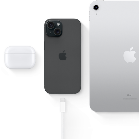 hamam nasrudin専用iPhone 15 Plus256GB sフリー iPhone 【あすつく、土日、祝日発送】国内Appleストア版SIM
