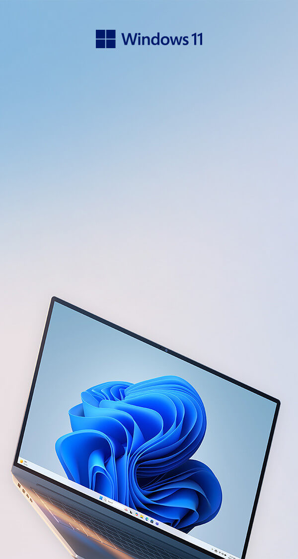 Windows feature