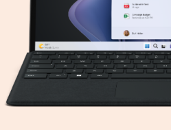 This is an example image